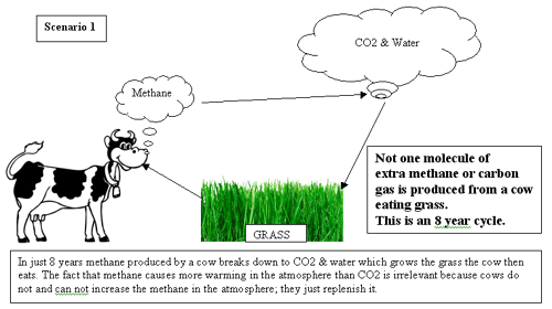 carbonquizz1